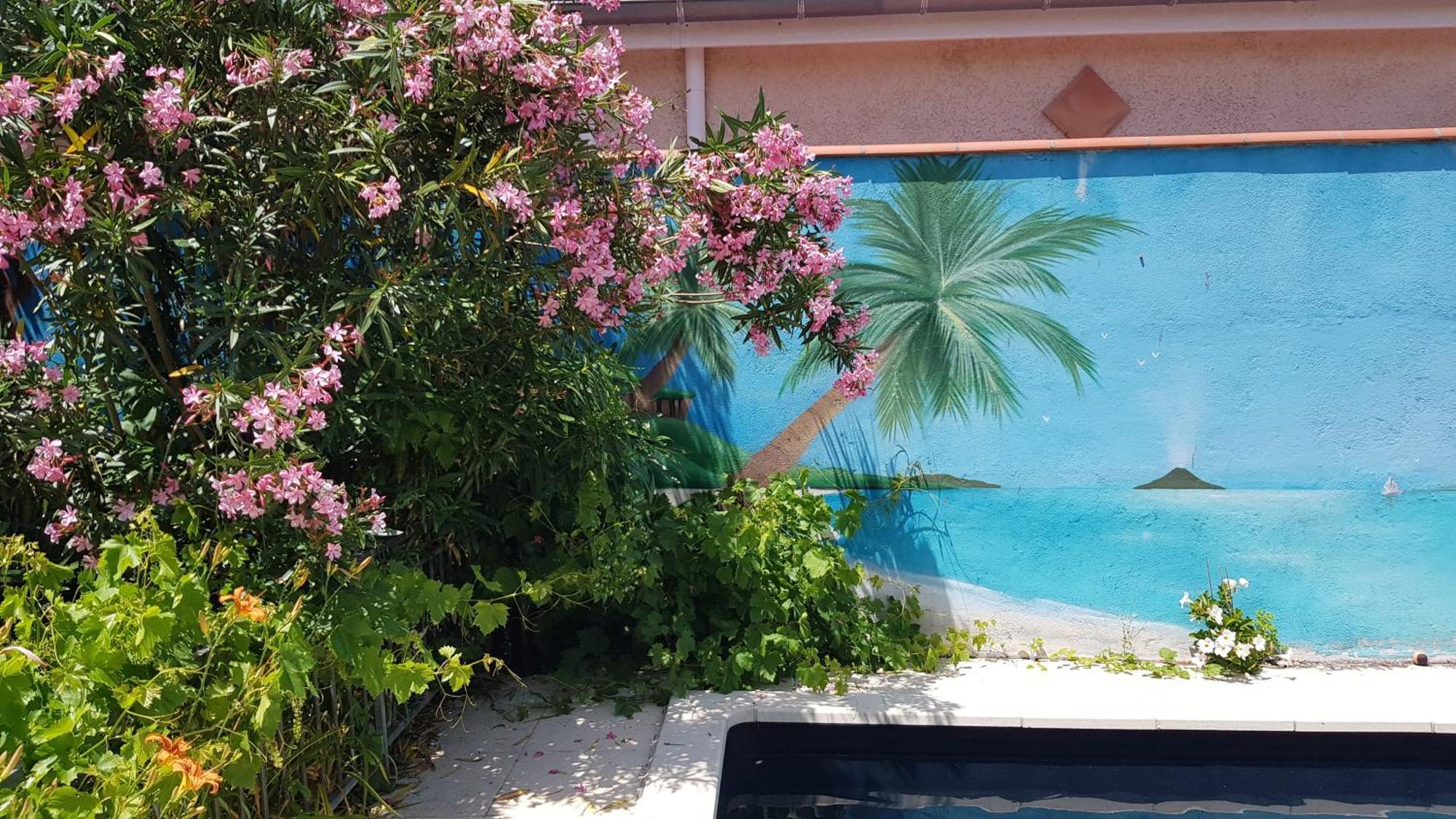 Indépendant. Appartement deux personnes, clair et sympa. Tolosa Esterno foto