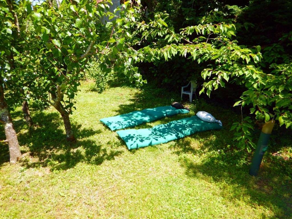 Indépendant. Appartement deux personnes, clair et sympa. Tolosa Esterno foto